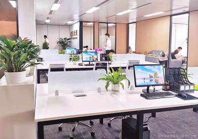 鑫眾瑞(廈門)信息咨詢服務——助力企業高效決策與發展的專業伙伴